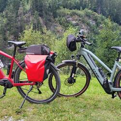 Unsere ständigen Begleiter. 😅