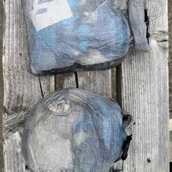 Müll 1 der gesamten Tour