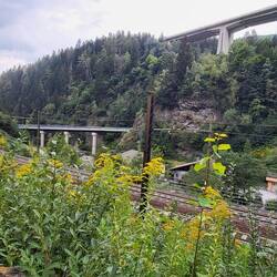 Links der Radweg, dann die Eisenbahn, die alte Brennnerlandstraße und ganz oben die Autobahn.