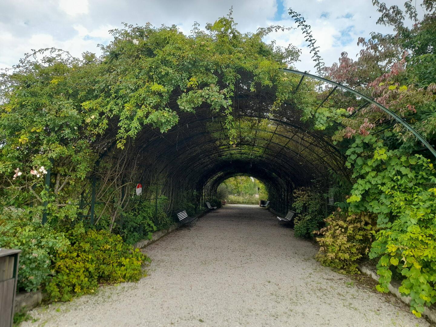 La Jardin Botanique