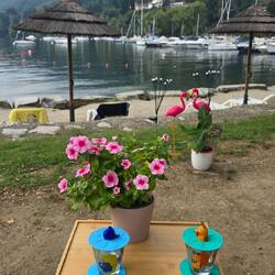 ... endlich unser Plätzchen 🚐 direkte Strandlage 🌊