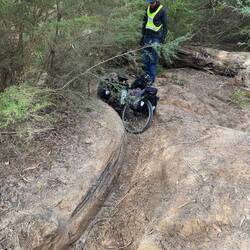 Time to abandon the forestry track and head to the highway.