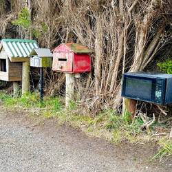 Common sight: rows of letterboxes. Not so common: repurposed letterbox microwave!