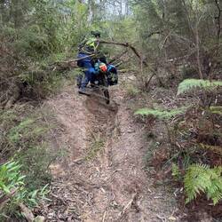 Pushing through the thickets