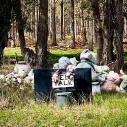 Teddies watching a Ted Talk. In the middle of nowhere!