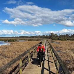 Wonderful boardwalks across Sale Common wetlands