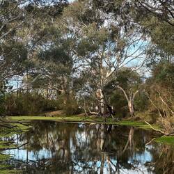 Sale Common: tranquil wetlands we found to be utterly peaceful and calming.