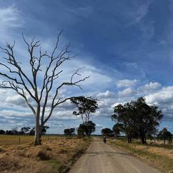 A day of quiet backroads with bright warm sunshine and strong westerly winds cycling to Paynesville