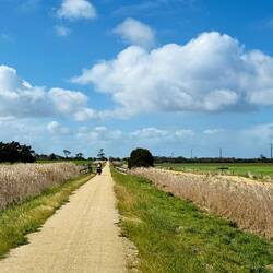 Great Southern Rail Trail: easy cycling in the sunshine, under blue skies.
