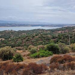 Lago Coghinas