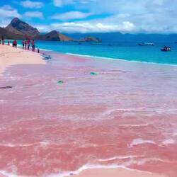 Pink beach