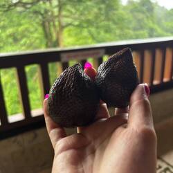 Schlangefrucht, gschänkt vom Hotel