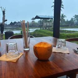 Früsches Kokosnusswasser 🥥🌴