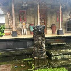 Jop, do si 2 Plazäntas ufem Foti 🙈