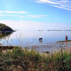 ......ein Traum 🤩