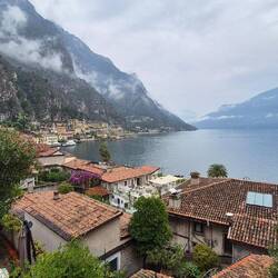 Limone im Regen