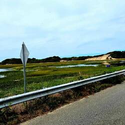 Lagoons where Cape Cod joins the mainland