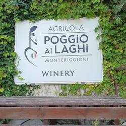 Wine tasting and lunch here