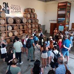 The wine tour