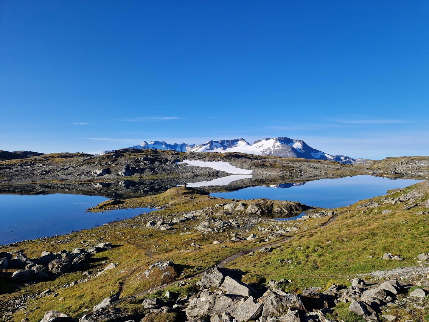 Abschied vom Sognefjellet