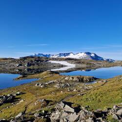 Abschied vom Sognefjellet