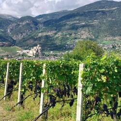 Vinmarker og små slotte i Aosta-dalen