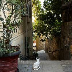 Should I stay or should I go...