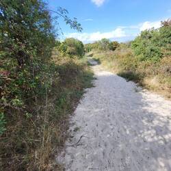 So beginnt leider der Wanderweg, viel, viel Sand.