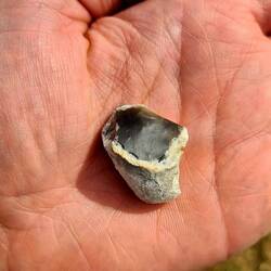 kalk auf schwarzem feuerstein