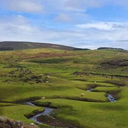 Hier entstehen magische Geschichten