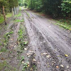 ...die Luft ist trotzdem gut.🫣