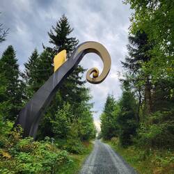 Hat das etwas mit Kyrill zu tun?