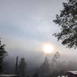 Guten Morgen...noch im Nebel