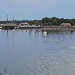 Plymouth Harbor Mooring field and field taxi