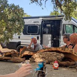 v.l.n.r. Inge, Stefan, Dana, Wendelin. In der Mitte Kork