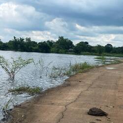 Hmmm. Might the water cover the road?