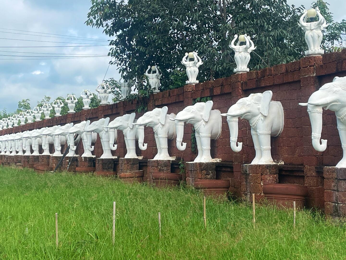 So many elephants