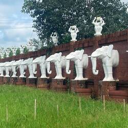 So many elephants
