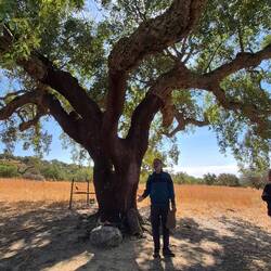 Black part has been harvested