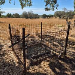 Rabbit sanctuary to protect from wild boars