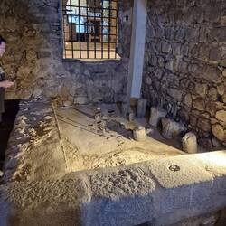 Where they would stomp grapes