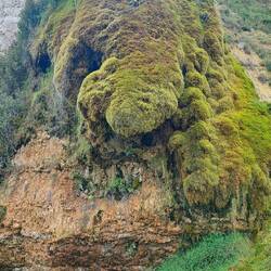 Die Natur ist so beeindruckend