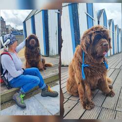 Wer ist hier die Diva?