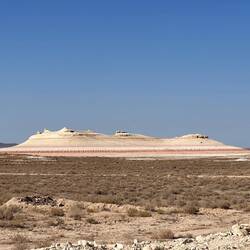 "das Kreuzfahrtschiff"