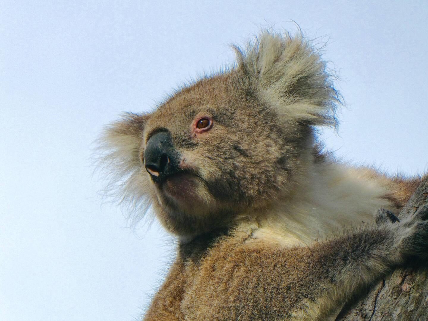 This is my best side.