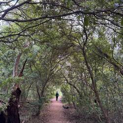Walking the island's trails