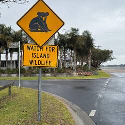 Raymond Island koala road sign