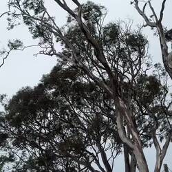 There was a bit of weather when we arrived on the island.