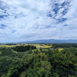 Landschaft mit Reisfeldern und kleinen Wäldchen zum Brüten