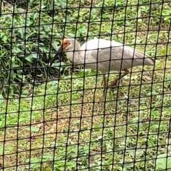 In der Aufzuchtstation